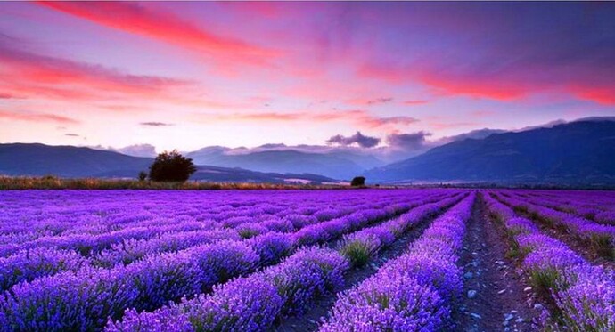 Screenshot_2022-06-08-08-13-19-422_com.android.chrome