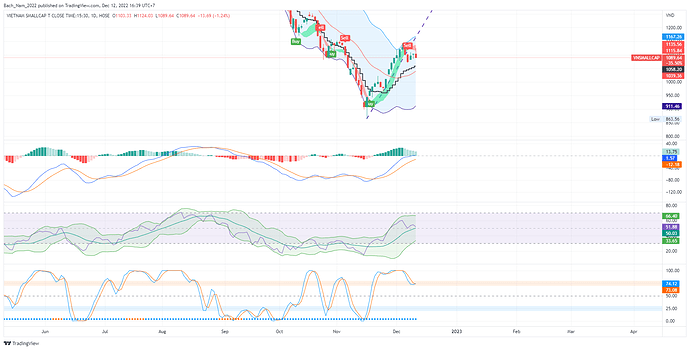 VNSMALLCAP_2022-12-12_16-39-09_e67ac