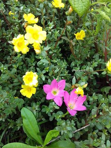 FB_IMG_1652181826794