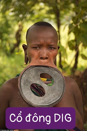 f6eafaa368cba095f9da