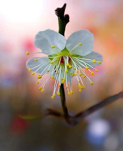 FB_IMG_1649176549663