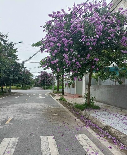 67c6569c8a35656b3c24