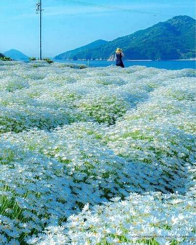 FB_IMG_1652719117639