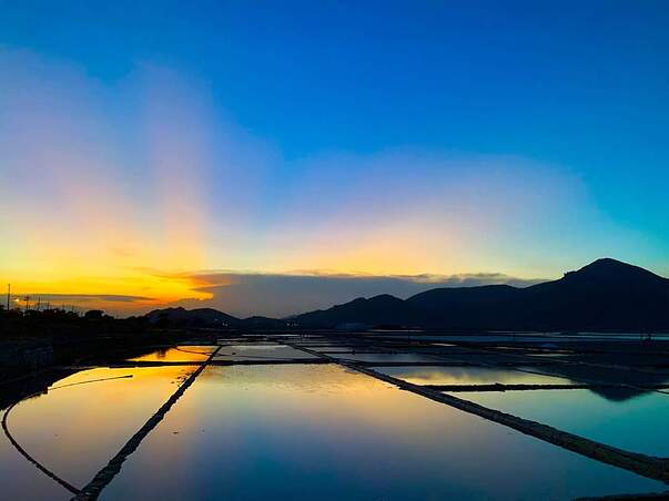 FB_IMG_1648957977087