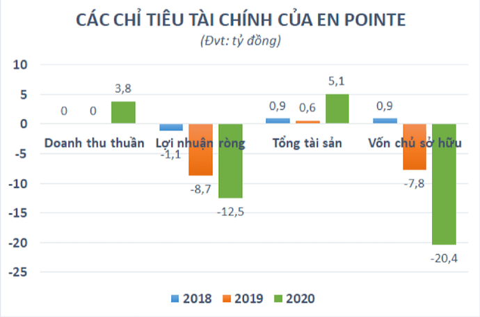 cac-chi-tieu-tai-chinh-cua-en-pointe-1658290280.png