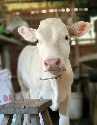 Screenshot_20220515-151552_Gallery