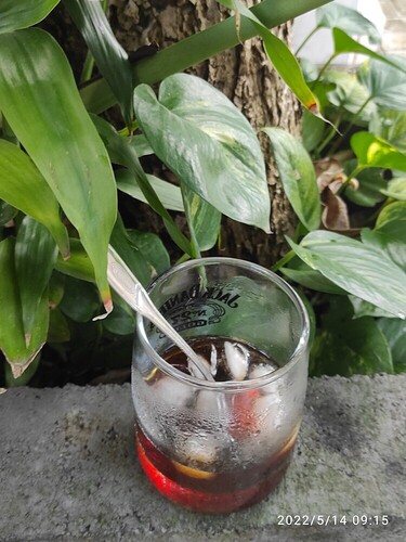 16524945064588286596244008264314