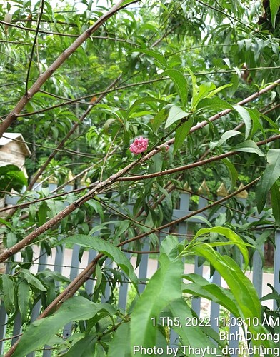 Screenshot_20220501-110441_Gallery