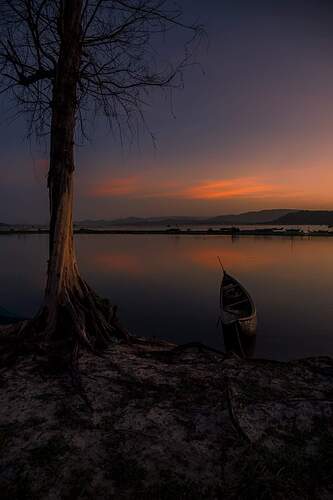 FB_IMG_1647614451294