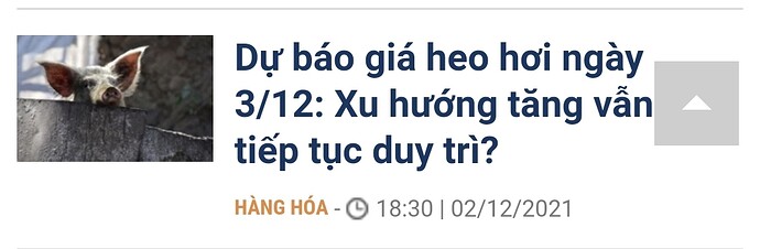 Screenshot_20211204-131743_Samsung Internet