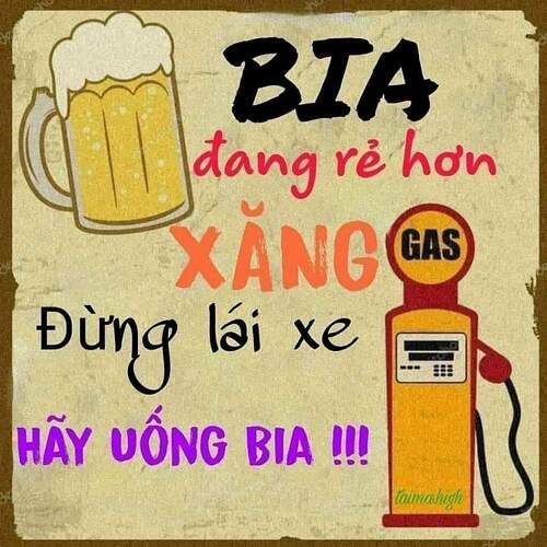 FB_IMG_1647006253946