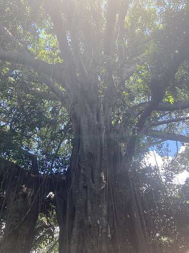 IMG-d72913d144e0647716fde49f9e9de093-V