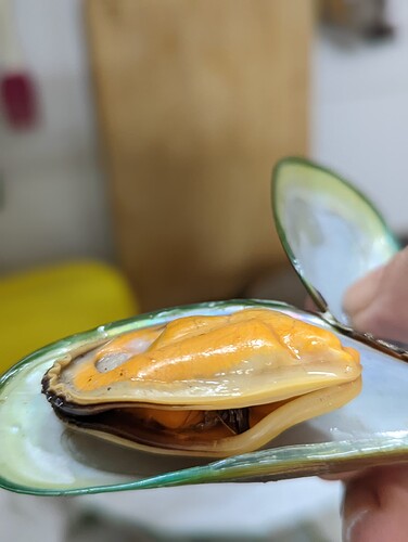 PXL_20221202_113145943.PORTRAIT