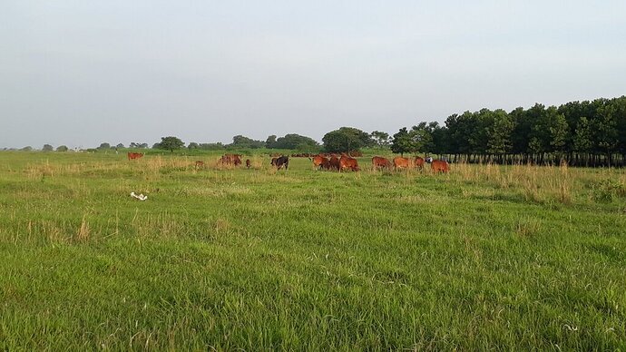 297117932_1451356238672082_3807351429780609256_n