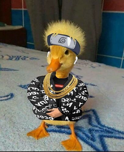 c0d8538e708ca9fa8c67478c1433778c