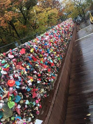 FB_IMG_1647313688063