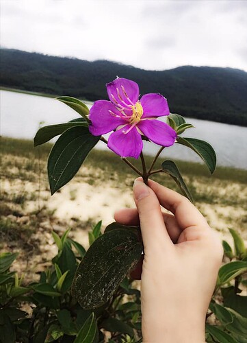 109714145_1698259663658558_1046157424547708463_n