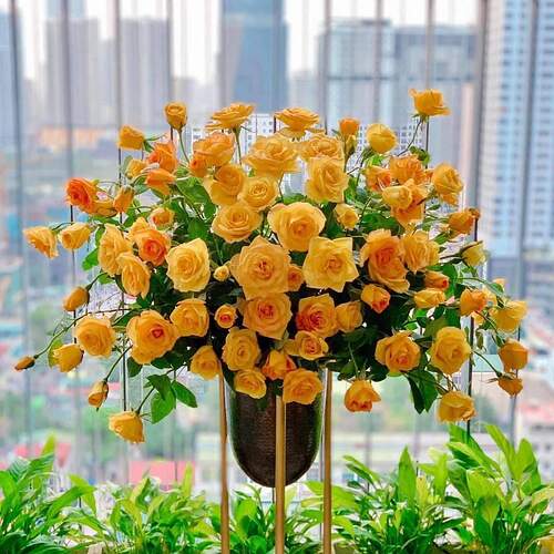 FB_IMG_1651671016125