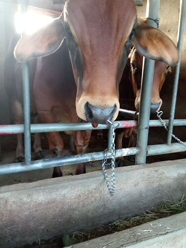 a84a2c40819e0f2459f7db06d4b0bce9