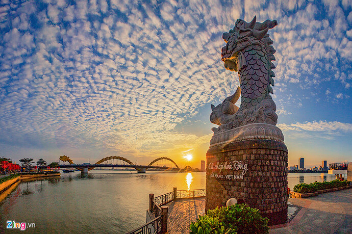 ca-chep-hoa-rong-da-nang