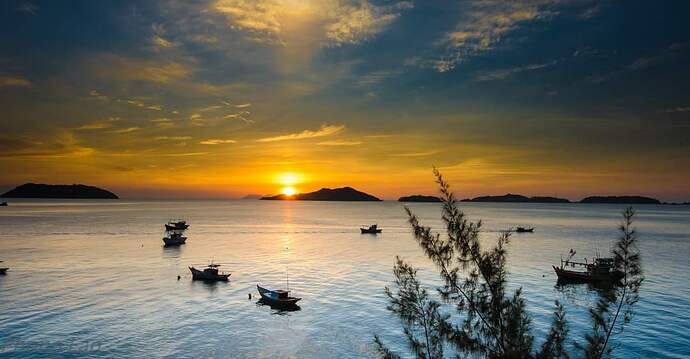 FB_IMG_1647614746485