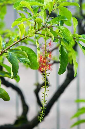 FB_IMG_1647157671612