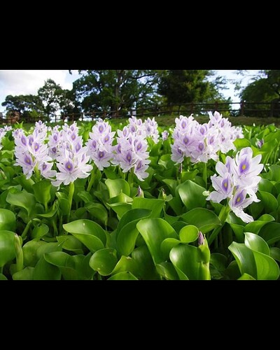 Screenshot_20220703-201036_Gallery