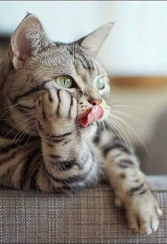 FB_IMG_1638427775686