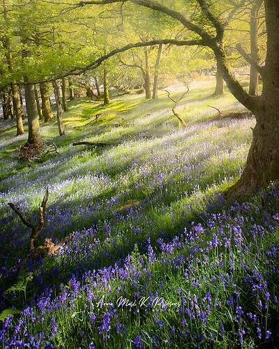 FB_IMG_1635722145438