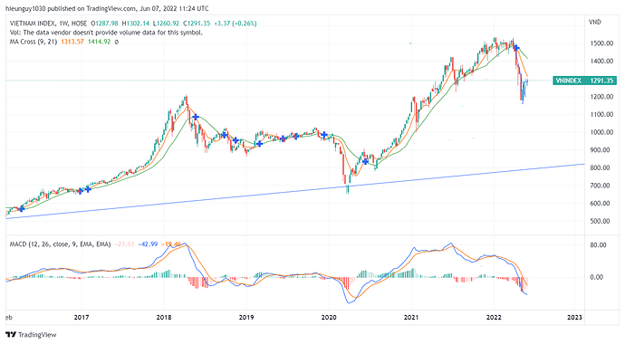VNINDEX_2022-06-07_18-24-30