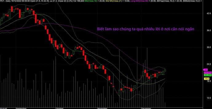 PET Biết làm sao chúng ta quá nhiều lời ở nơi cần nói ngắn
