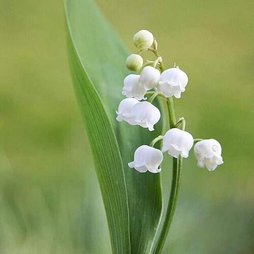 FB_IMG_1652194923785