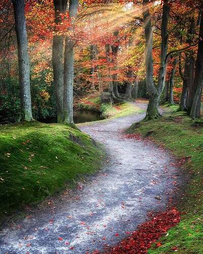 FB_IMG_1635982688582