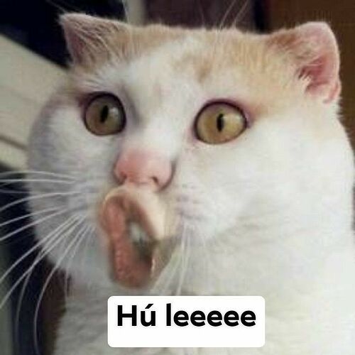 68747470733a2f2f73332e616d617a6f6e6177732e636f6d2f776174747061642d6d656469612d736572766963652f53746f7279496d6167652f696e586c63396a494179507364773d3d2d37372e313635393433383437396361646330653331383438313236373939312e6a7067