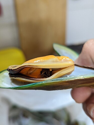 PXL_20221202_113138939.PORTRAIT