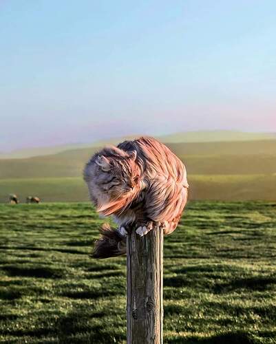 FB_IMG_1640260719708