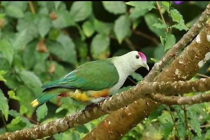 Screenshot_20220911-215044_Facebook