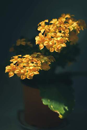 FB_IMG_1647614487742