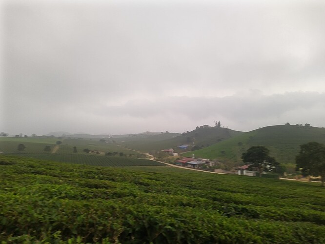 IMG_20221111_172743_3