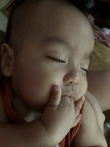 3d7efd92bdbf73e12aae (1)