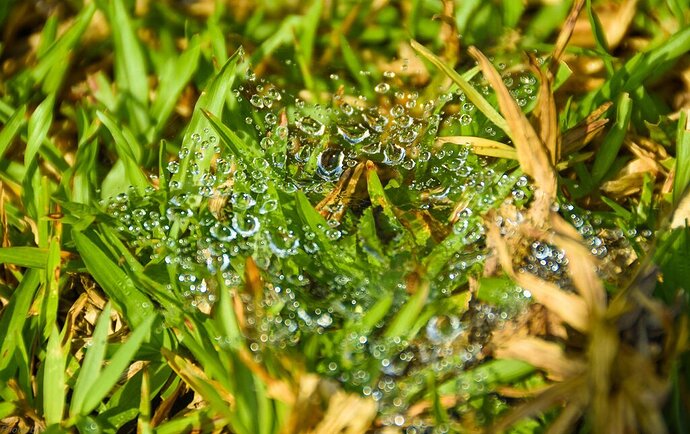 IMG_1647877495868_1649584271247