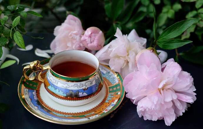 FB_IMG_1650237106837