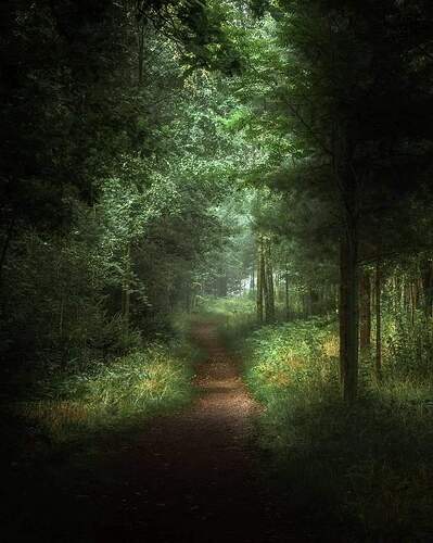 FB_IMG_1636019878942