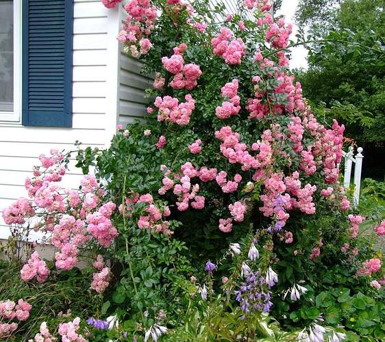 FB_IMG_1651758910607