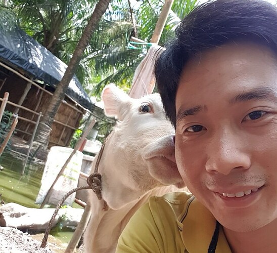 z3341037117751_201f35d1fd78ada4bbd15f025abcc71d