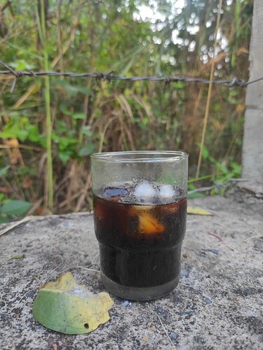 16493776810836718681123349597705