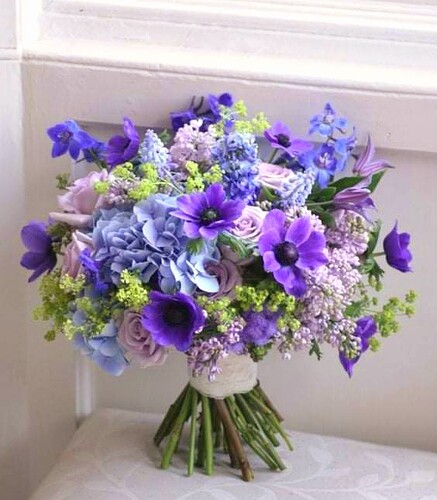 FB_IMG_1644298664234