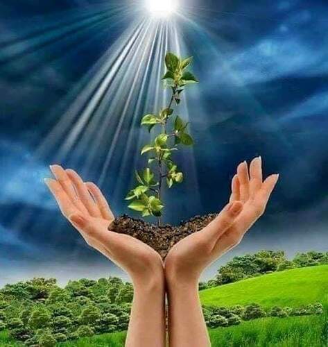 FB_IMG_1646915049676