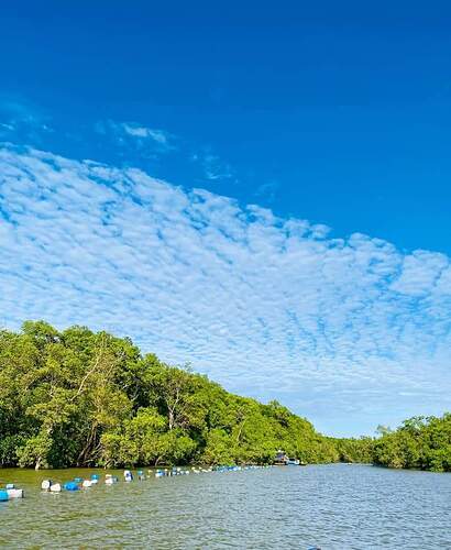 FB_IMG_1648915778752