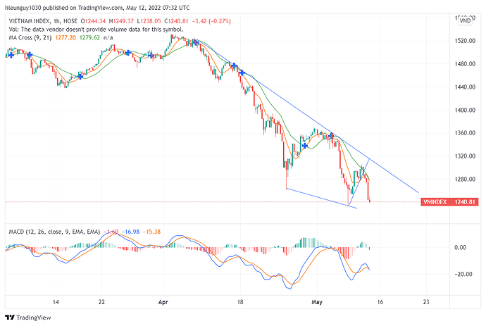 VNINDEX_2022-05-12_14-32-40